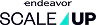 Endeavor ScaleUp